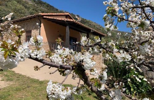 El Torno House | Casa Rural Canchal Madroñeras *