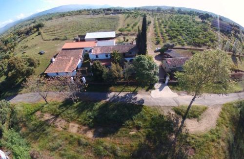 Tejeda de Tietar House | Casa Rural La Vallejera