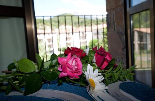 Puertolas Apartment | Casa Rural Sofia Ordesa