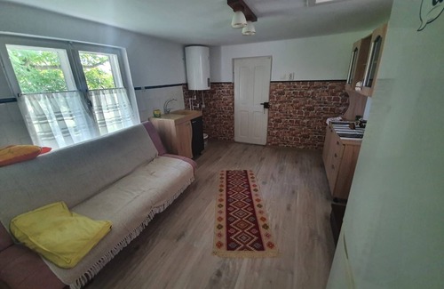 Campina House | Casa rurala cu livada si padurice