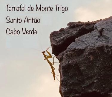 Porto Novo Bed & Breakfast | Casa Saúde
