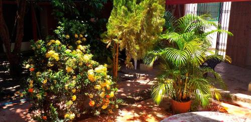 Santa Cruz de Mompox Apartment | Casa Serrano - Calle Real 5