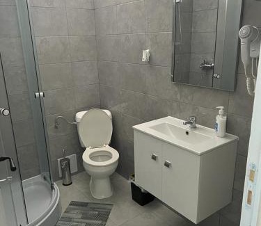 Baile Herculane House | Casa Simionov