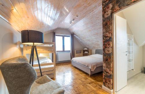 Cluj-Napoca House | Casa Stella - spacious central villa