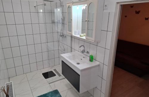 Vata de Jos Apartment | Casa Szabo