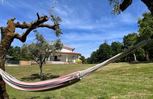 Arganil Apartment | Casa Toupeira