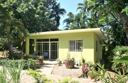 Costambar Villa | Casa Tropical