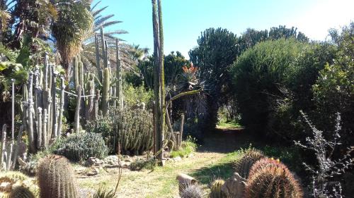 Castelvetrano House | Casa vacanza nella riserva naturale del Belice