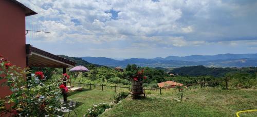 Falcinello House | Casa Vacanza Alba