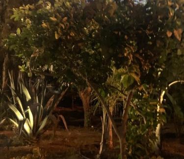 Trabia House | Casa Vacanze Astori