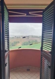 Ornano Grande Apartment | Casa vacanze Belvedere