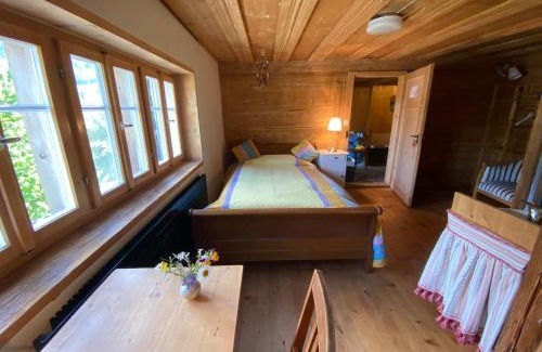 Trun Apartment | Casa Vegana, 3,5 Zi Wohnung, 5 PL, 2 Bäder