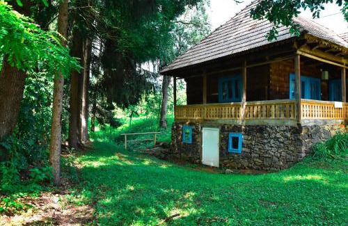 Breb House | Casa Visovan