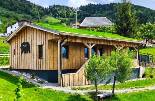 Moieciu House | Casa WEZLY 2