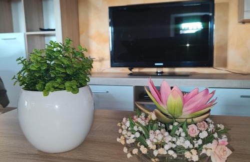 Aviano Apartment | Casa Zanier Aviano