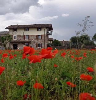 Cussignacco House | CASAL MICELIO