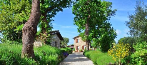 San Severino Marche Bed & Breakfast | Casale il Cerqueto