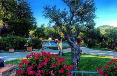 San Severino Marche Bed & Breakfast | Casale il Cerqueto