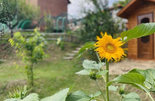 Briccarello Apartment | Cascina Il Girasole Rosso