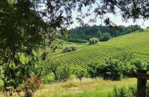Cassine Bed & Breakfast | Cascina Valtignosa Camere Con Vigna