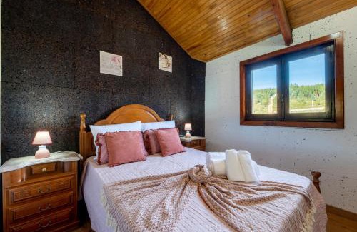 Figueiro dos Vinhos House | Casinha do Quadro