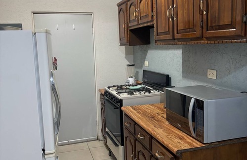 Chihuahua House | Casita Blue