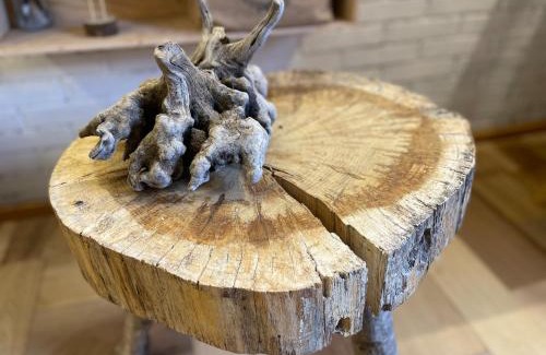 Lamason Ski Chalet | Casita Tanea Montaña y cerca del mar en Cantabria