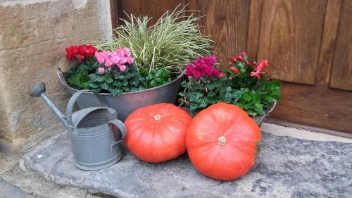 San Pantaleon de Aras Hotel | Casona de San Pantaleón de Aras