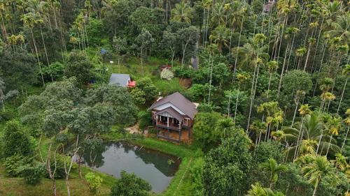 Sulthan Bathery Apartment | Casta Wild Resort