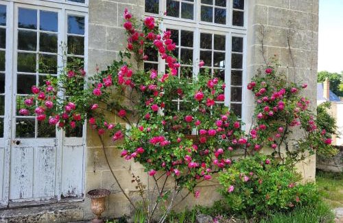 Langeais Bed & Breakfast | Castel Saint Laurent