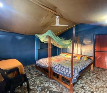 Benaulim Other | Castello's Coco Huts