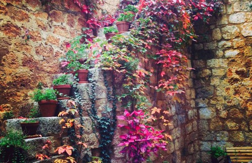 Grisel House | Castillo de Grisel