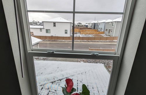 Castle Rock Apartment | Castle Rock's DEN, a cozy private room in the ridge of Castle Rock House.