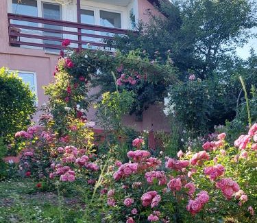 Vladesti House | Casuta dintre dealuri