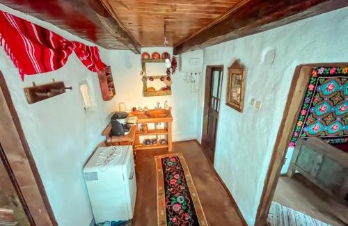 Contesti House | Casuta Muzeu La Artar