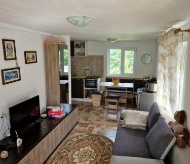 Dorna Arini House | Casuta Rodi