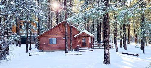 Fox Farm House | Catalina Creekside Cabin - Log home with wood burning fireplace for an immersive mountain getaway!