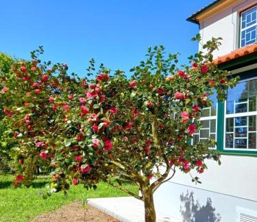 Tondela Bed & Breakfast | Catrinandes - Retreat Center