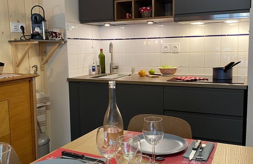 Cauterets Apartment | Cauterets beautifull duplex apartment with terrace