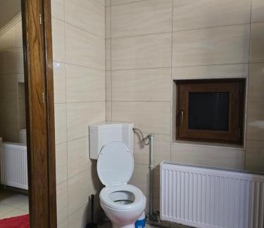 Ineu Apartment | CAZARE Ineu