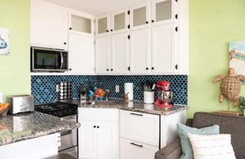 Galveston House | CDM 204 - Turtle-y Awesome