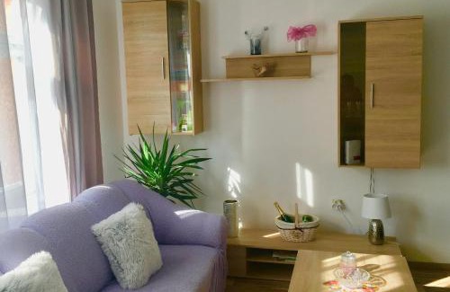 Nachod Apartment | Cecilka