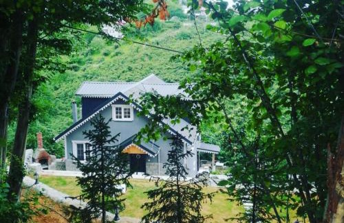Yomra Villa | Cennet bahçesi