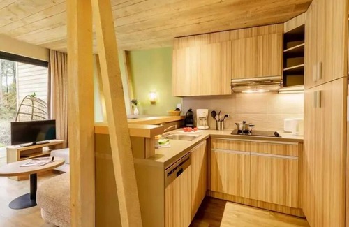 Curcay-sur-Dive House | Center Parcs - Domaine Le Bois aux Daims - 3 Room Cottage 4 People Premium
