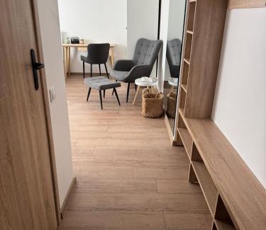 Jelgava Apartment | Center Studio type apartment