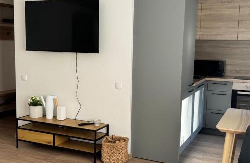 Jelgava Apartment | Center Studio type apartment