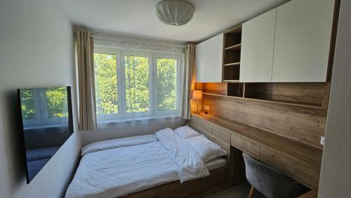Tirgu Mures Apartment | Central 21