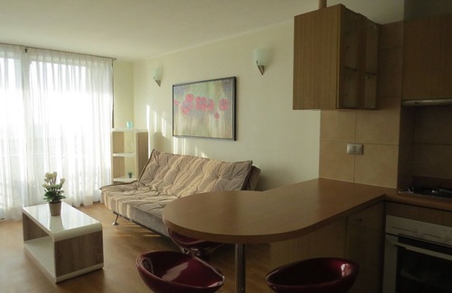 Downtown Santiago Apartment | Central and cozy apartment near metro