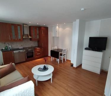 Narvik Apartment | Central bus station apartment, wifi, tv
