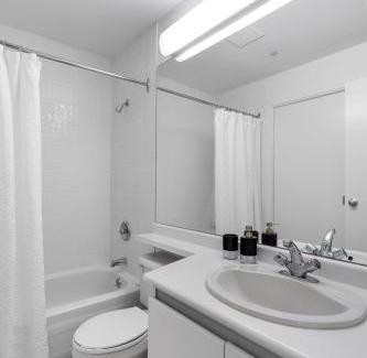 Downtown Vancouver Apartment | Central Downtown Highrise Condo